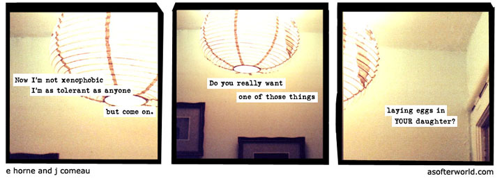 Latest A Softer World